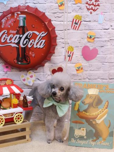 20230908サージュちゃん